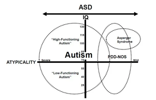 阿斯伯格就是高功能自闭症？一张图就能区分清楚插图4